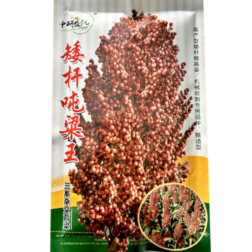 高粱种子矮杆吨粱王种籽糯高粱酒香型酿酒红高粱种籽大田基地