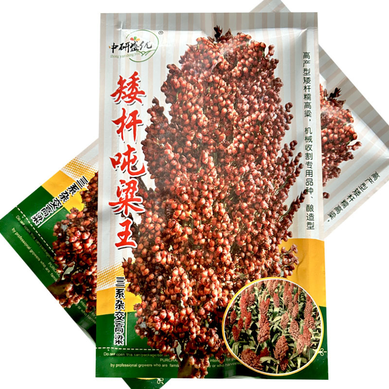 高粱种子矮杆吨粱王种籽糯高粱酒香型酿酒红高粱种籽大田基地