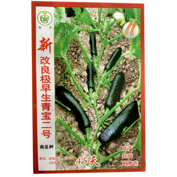 改良青宝二号南瓜种子早熟耐重茬耐旱抗病高产生长期长