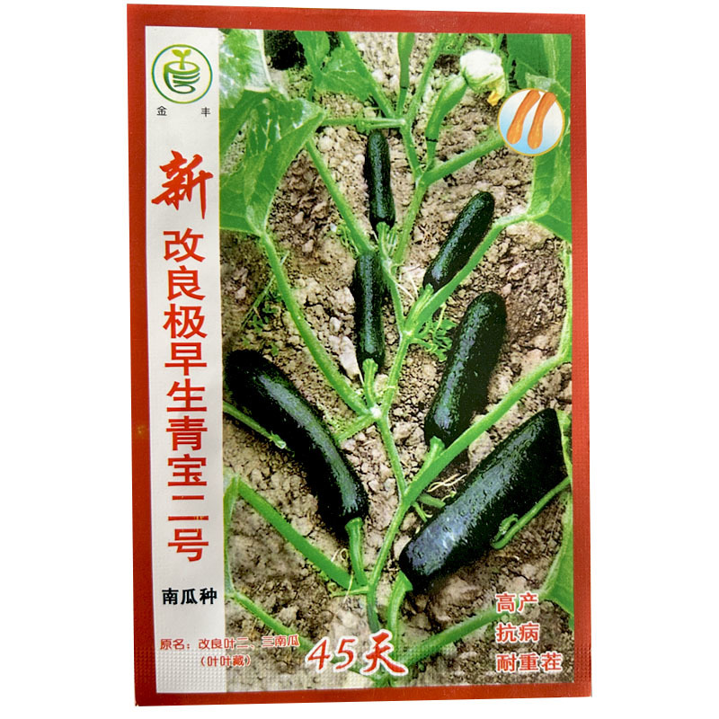 改良青宝二号南瓜种子早熟耐重茬耐旱抗病高产生长期长