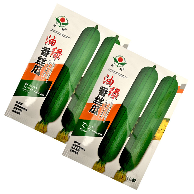 油绿香丝瓜种子早熟白籽短棒绿皮油亮结果多春秋露地种