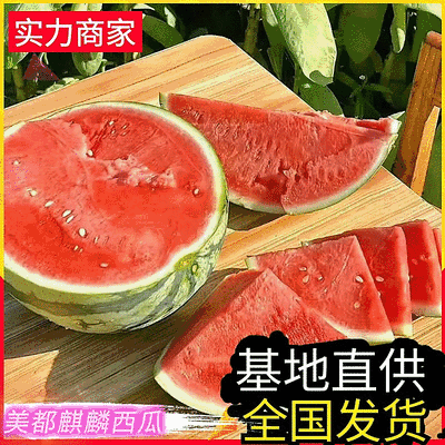 【急售】美都麒麟瓜/云南西瓜/云南美都西瓜/无籽西瓜