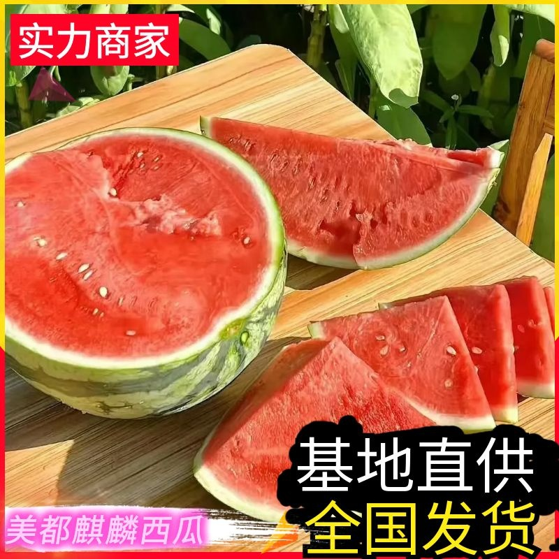 【急售】美都麒麟瓜/云南西瓜/云南美都西瓜/无籽西瓜
