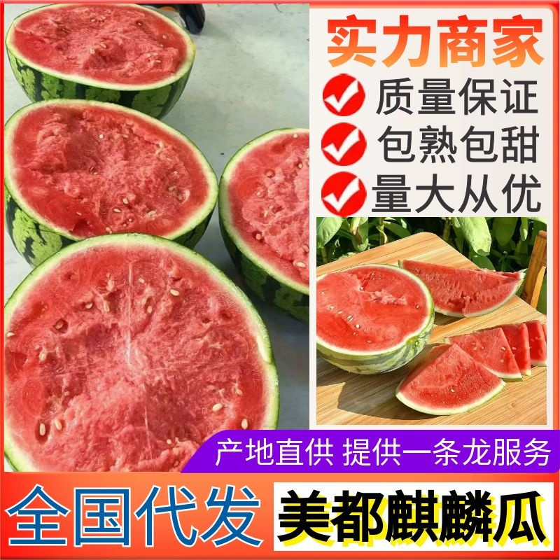 【推荐】云南麒麟西瓜/无籽美都/产地直供/可视频看货