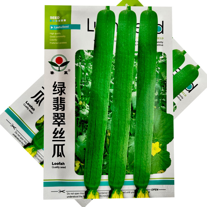 绿翡翠丝瓜种子早熟生长迅速拔节短10g叶片小肉厚心腔小采
