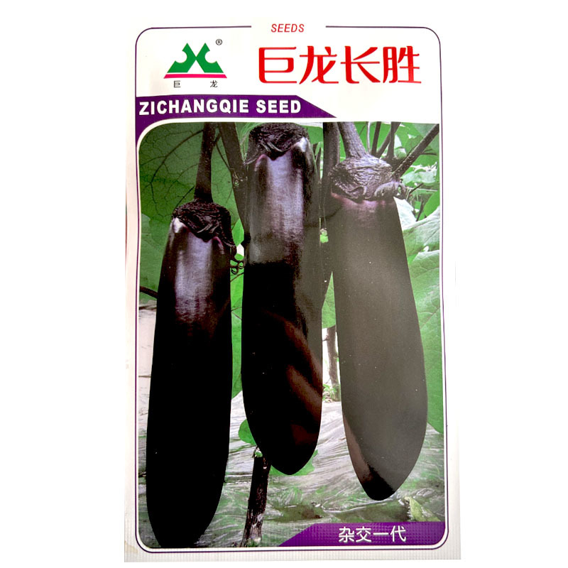 巨龙长胜茄子种子高产早熟5g露地长茄子紫萼大田露地种植