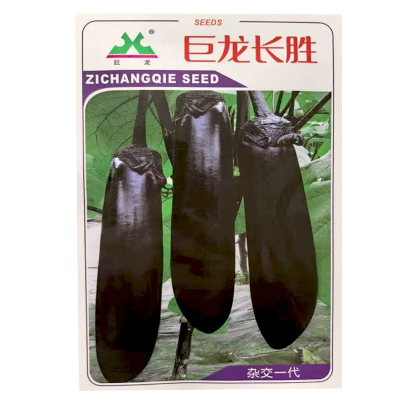 巨龙长胜茄子种子高产早熟5g露地长茄子紫萼大田露地种植