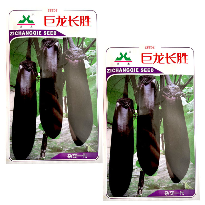巨龙长胜茄子种子高产早熟5g露地长茄子紫萼大田露地种植
