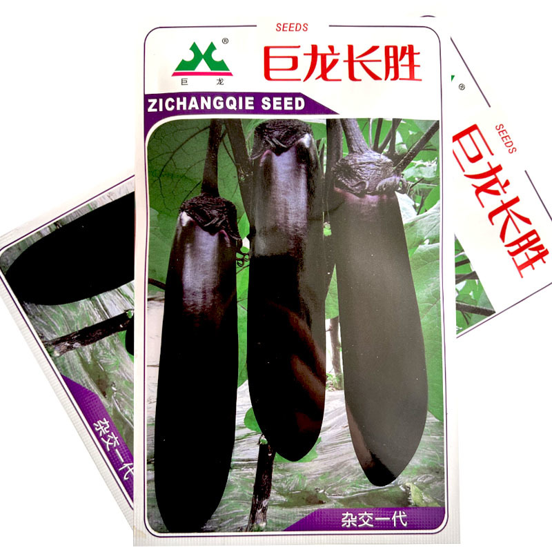 巨龙长胜茄子种子高产早熟5g露地长茄子紫萼大田露地种植