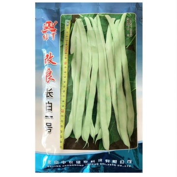长白一号改良白不老架豆种子结荚更多豆荚绿白色长扁菜豆种子