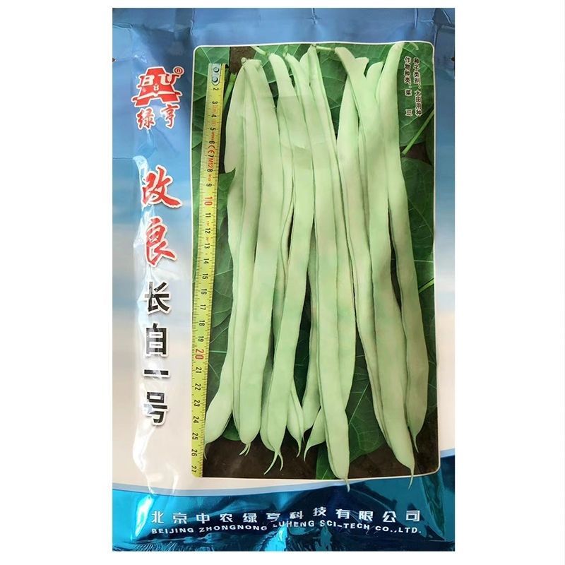 长白一号改良白不老架豆种子结荚更多豆荚绿白色长扁菜豆种子
