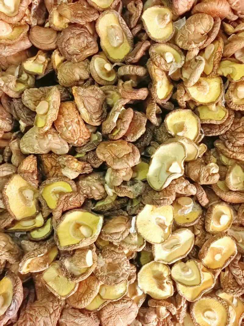 精品干香菇/香菇脚量大从优/一手货源/诚信经营