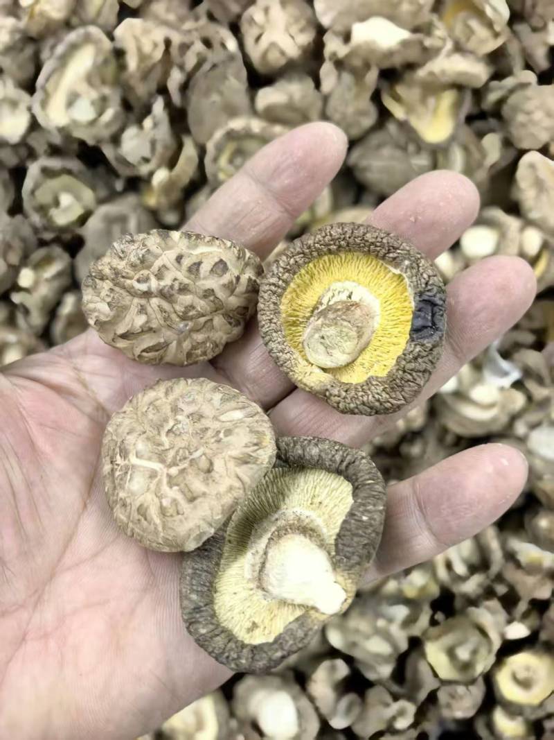 精品干香菇/香菇脚量大从优/一手货源/诚信经营