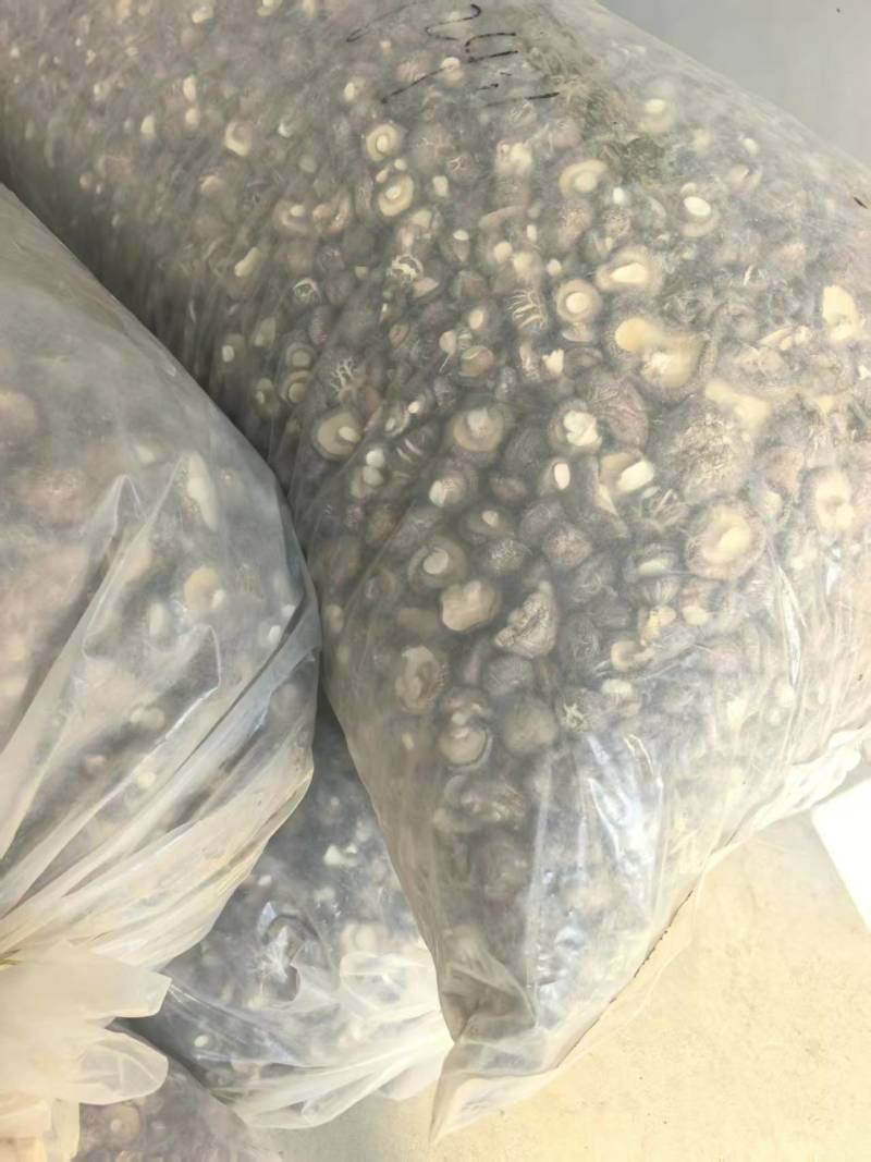 精品食用菌干香菇/香菇脚/规格齐全/一手货源/量大从优