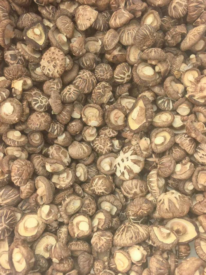 精品食用菌干香菇/香菇脚/规格齐全/一手货源/量大从优