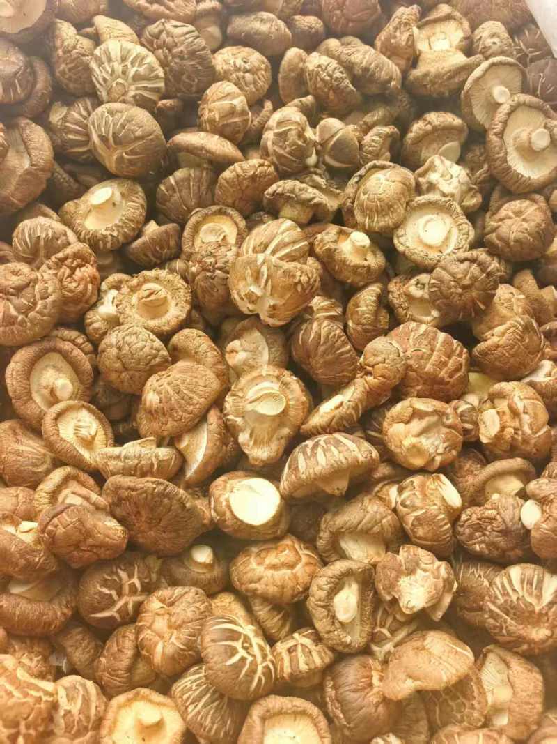 食用菌干货/干香菇/厂家直发/量大从优/诚信经营/一手货源