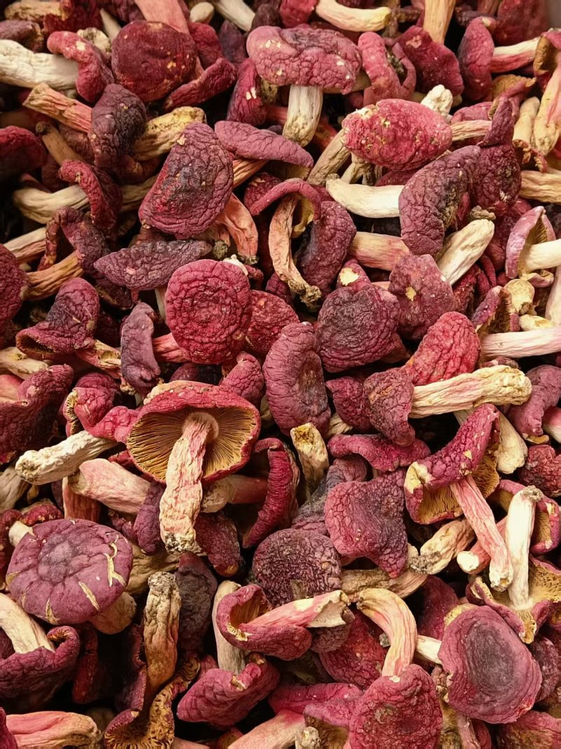 特级红菇干货红色透明礼盒500克红中菇，随县野生红菇