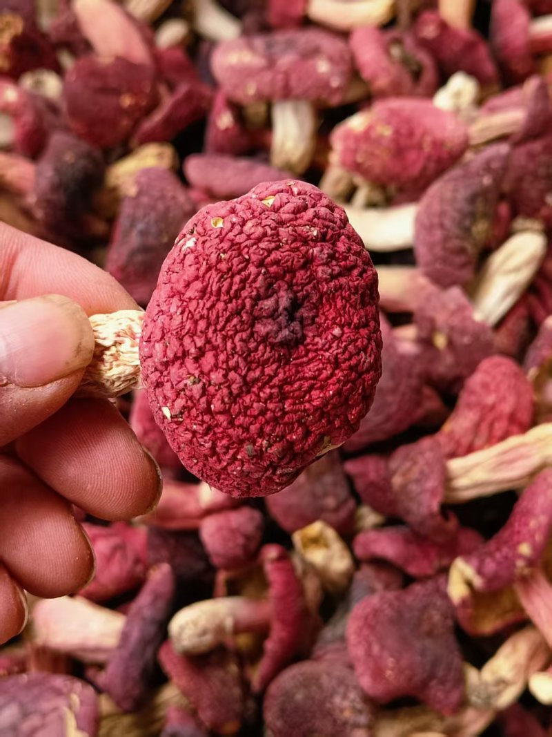 特级红菇干货红色透明礼盒500克红中菇，随县野生红菇