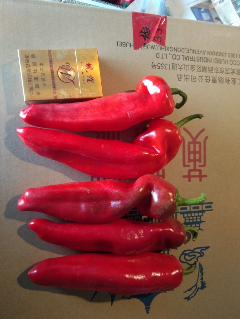 精品红椒芜湖鲜辣椒一手货源全国发货对接电商市场