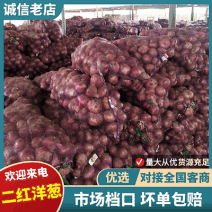 山东二红洋葱/山东洋葱/产地直供/规格齐全/可全国发货