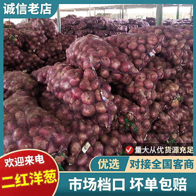 山东二红洋葱/山东洋葱/产地直供/规格齐全/可全国发货