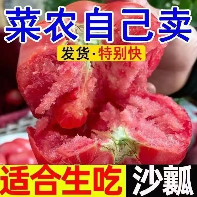优选大红硬粉西红柿品种多样供应商超市场价格电议协助装车