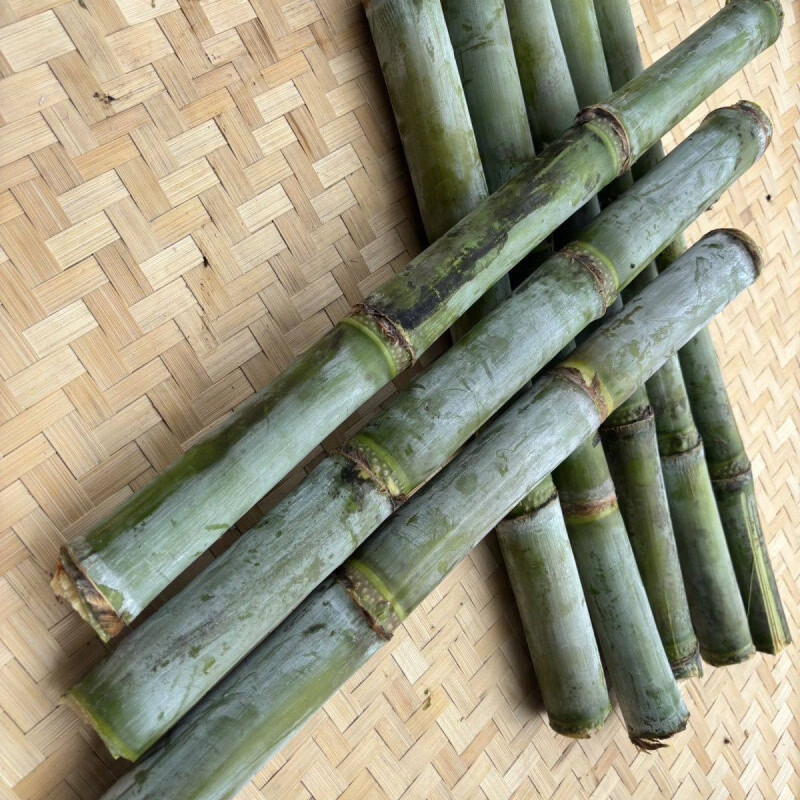 《青皮白玉甘蔗》湖北仙桃产地/一手货源/全国发货/可视频