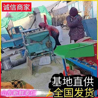 山东鲜麦仁/鲜货现发/货源充足/可视频看货/欢迎致电