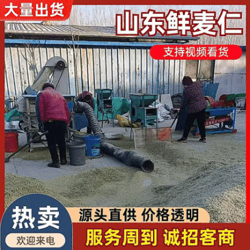 《新鲜麦仁》鲜麦仁/青麦仁/鲜货现发/自产自销/全国发货