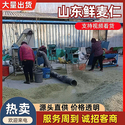 《新鲜麦仁》鲜麦仁/青麦仁/鲜货现发/自产自销/全国发货
