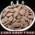 精品瓜蒌籽香脆可口/工厂直发/量大从优/诚信经营欢迎下单