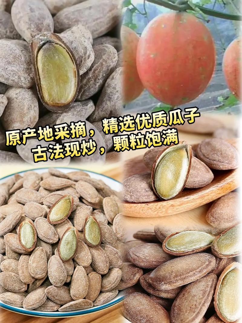 精品瓜蒌籽香脆可口/工厂直发/量大从优/诚信经营欢迎下单