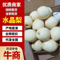 河北精品水晶梨，香甜可口，一手货源，可视频看货