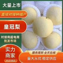 河北皇冠梨/大量有货，质量保障/诚信经营，可代发全国