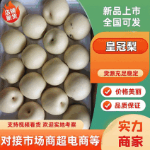 白皮皇冠梨河北赵县梨大量上市产地直发欢迎来电
