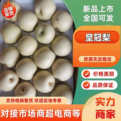 白皮皇冠梨河北赵县梨大量上市产地直发欢迎来电