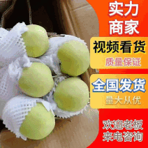 河北纸袋绿皇冠梨皇冠梨绿宝石产地直发发往全国