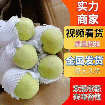 河北纸袋绿皇冠梨皇冠梨绿宝石产地直发发往全国