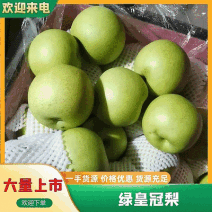 《绿皇冠梨》河北纸袋皇冠梨/发往全国各地/欢迎来电洽谈
