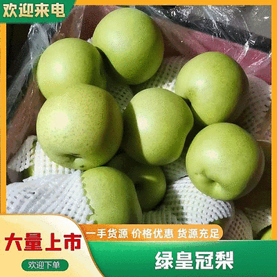 【批量发货】石家庄纸袋绿皇冠梨大量上市口感脆甜批发基地