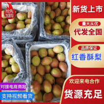 红香酥梨赵县梨产地直发品质保障量大优惠可视频看货