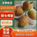 河北赵县新梨七号大量上市,市场电商团购合作诚信代发