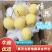 【精品鸭梨】膜袋鸭梨赵县梨新鲜上市基地直供口感好