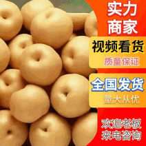 河北梨，鹤皮42梨，丰水42梨，产地批发/需要联系我