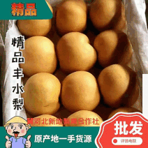 河北赵县丰水梨一手货源大量有货欢迎全国客商采购