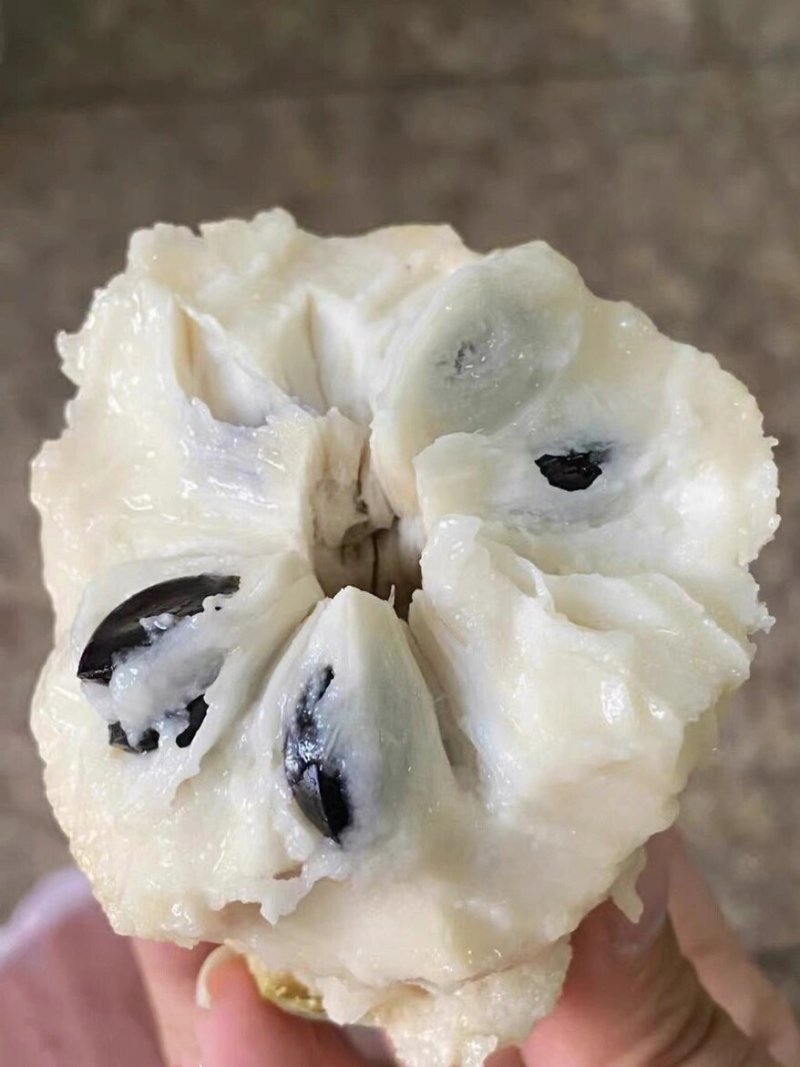 广东释迦果冰淇淋果基地一手货源全国发货可视频