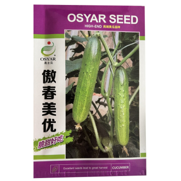 傲春优美水果黄瓜籽早熟强雌旱黄瓜种子甜脆好吃