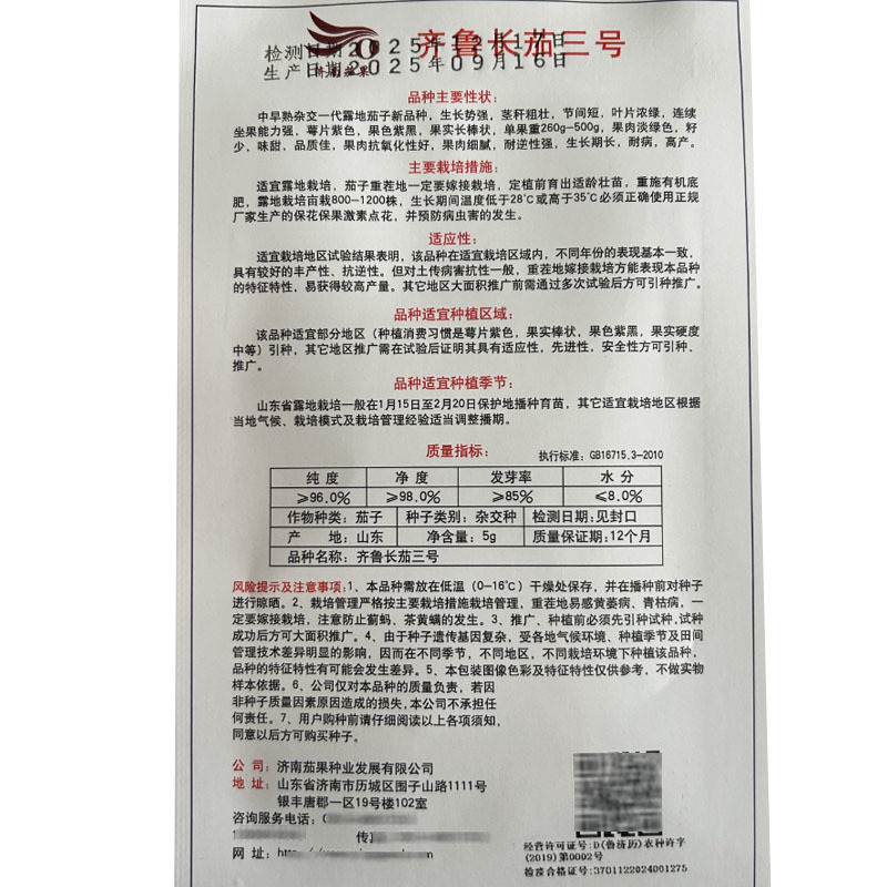 济南茄果齐鲁长茄三号露地茄子种子紫黑长棒淡绿肉长茄