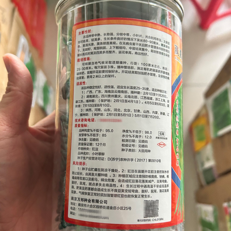 小叶翠柳豇豆种子400g翠绿条豆角籽早熟春夏耐寒豇豆