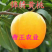嫁接黄桃树苗锦绣黄桃苗